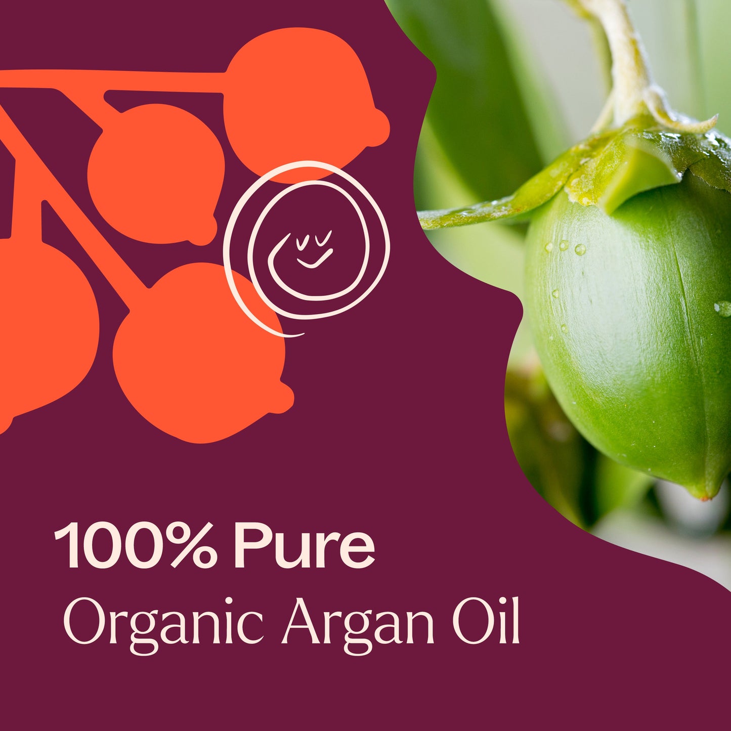 Plant Therapy - Organic Argan Carrier Oil