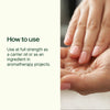 Plant Therapy - Organic Fractionated Coconut Carrier Oil