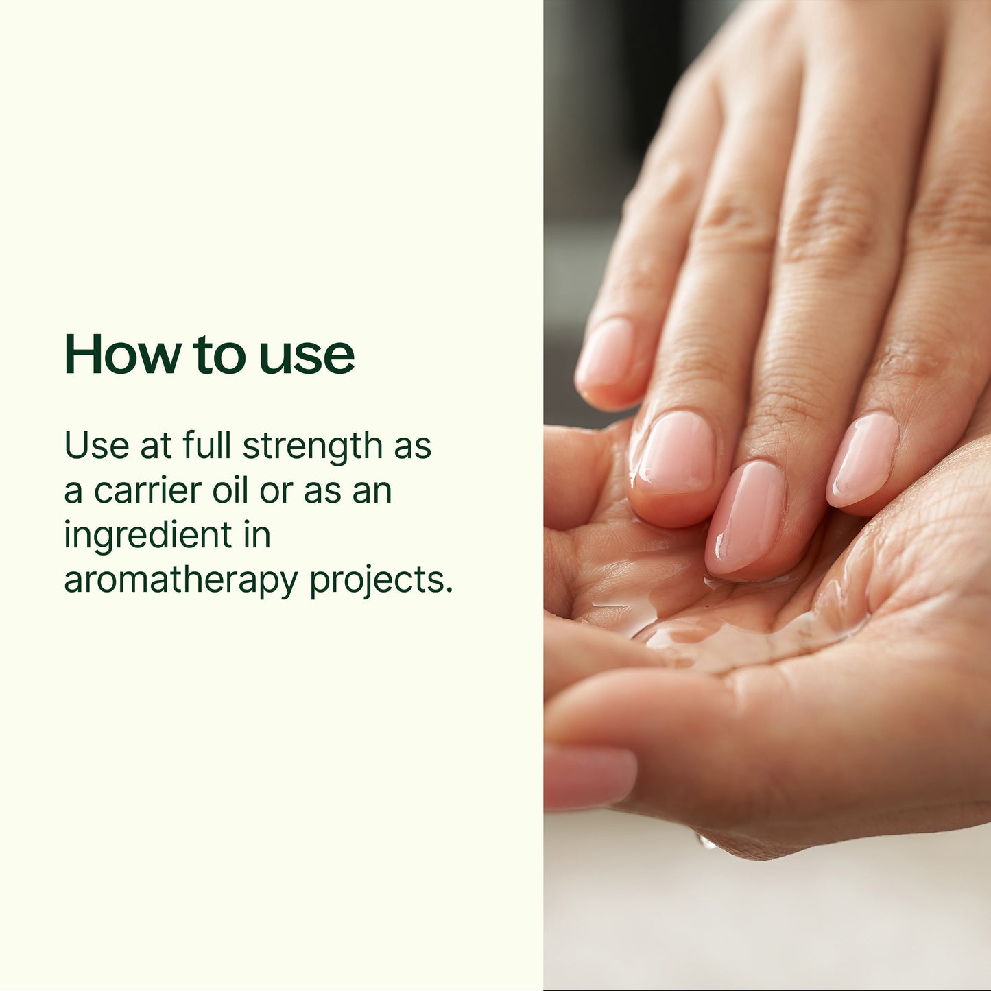 Plant Therapy - Organic Fractionated Coconut Carrier Oil