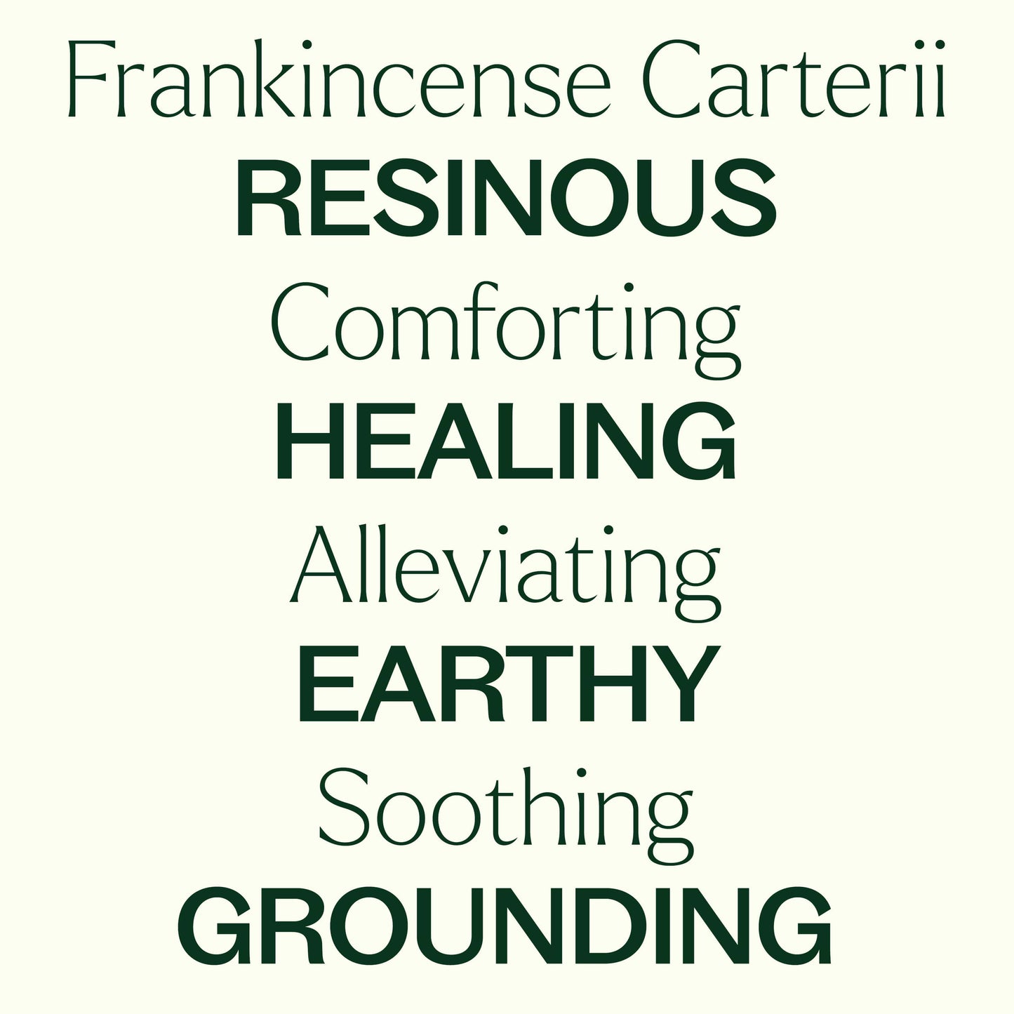 Plant Therapy - Organic Frankincense Carterii Essential Oil
