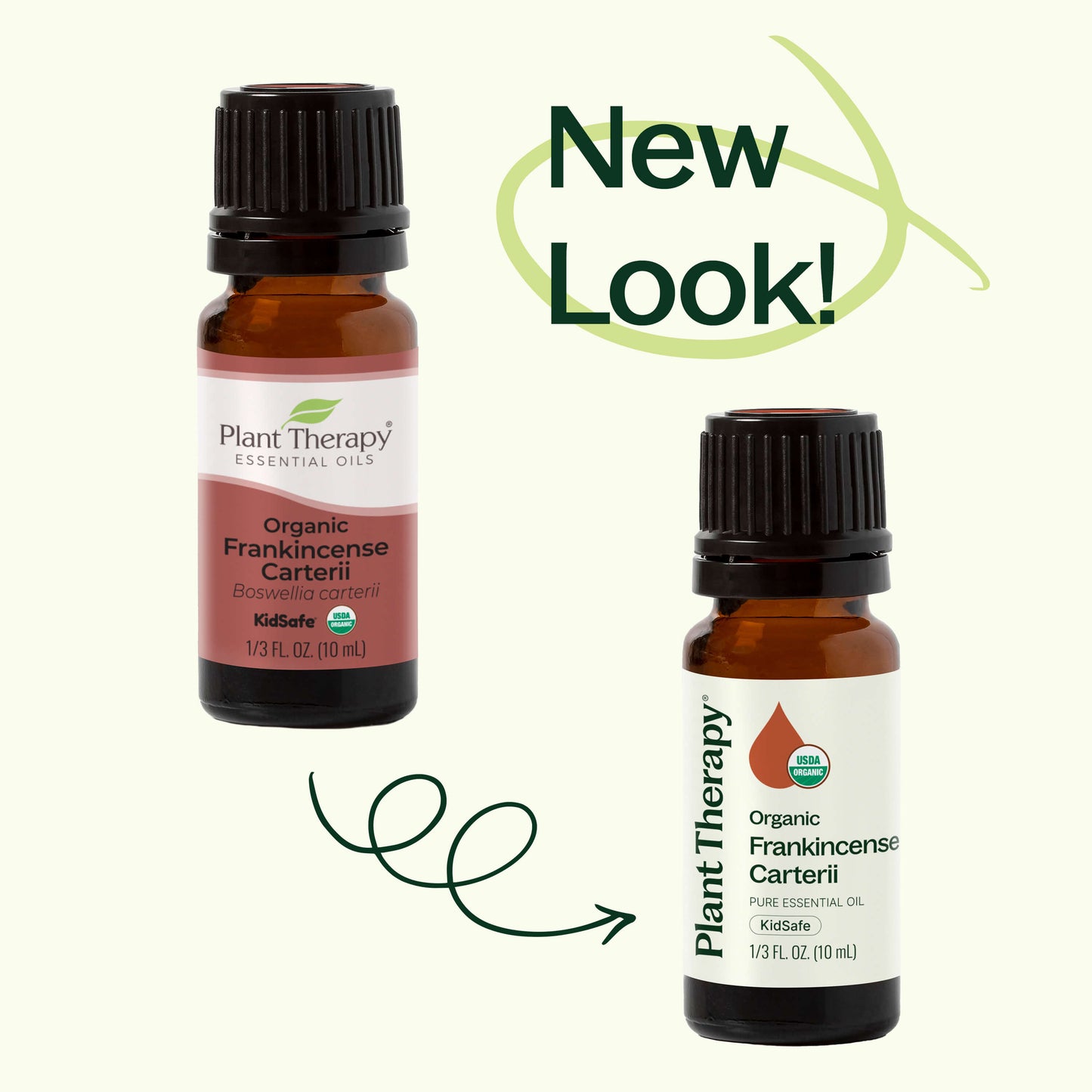 Plant Therapy - Organic Frankincense Carterii Essential Oil