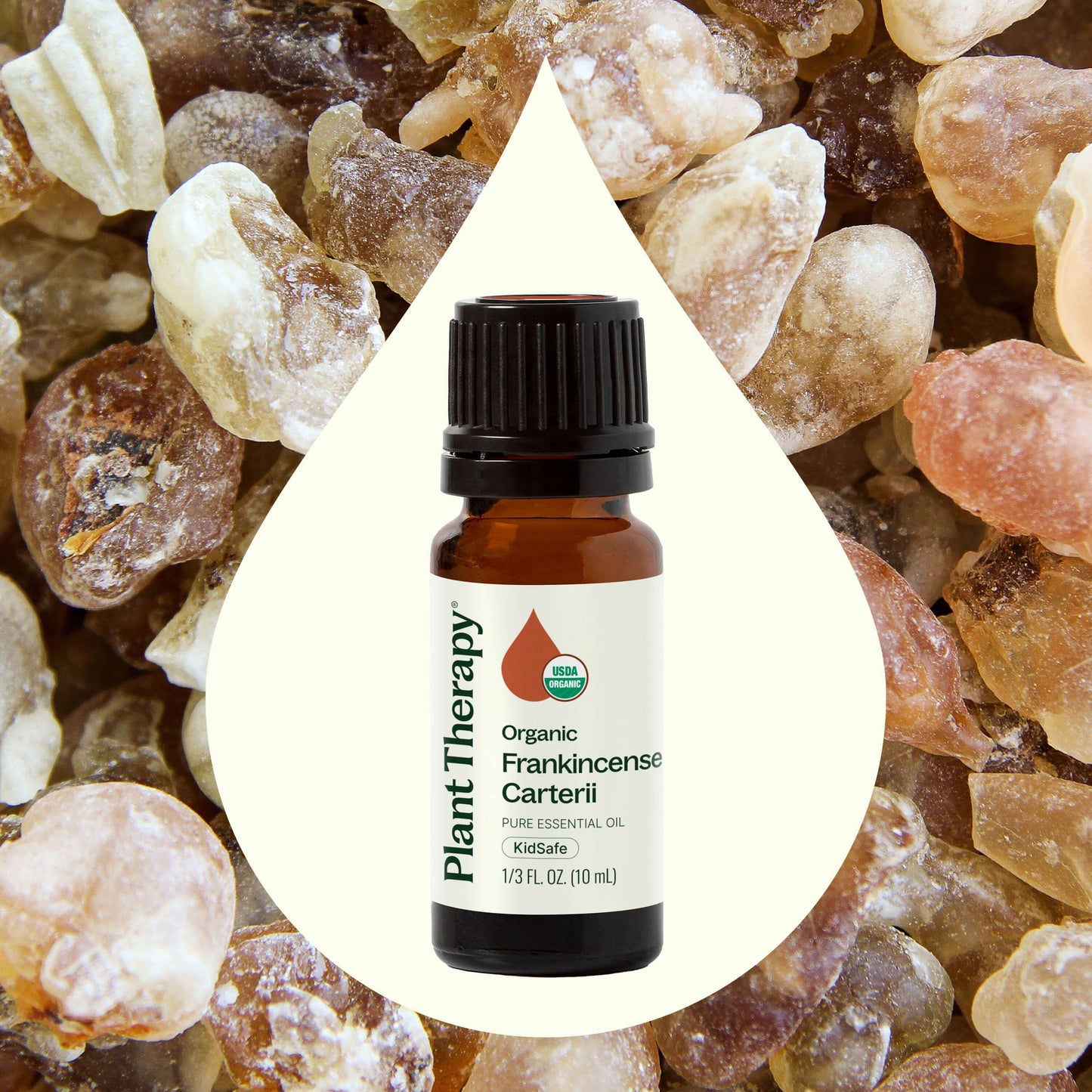 Plant Therapy - Organic Frankincense Carterii Essential Oil