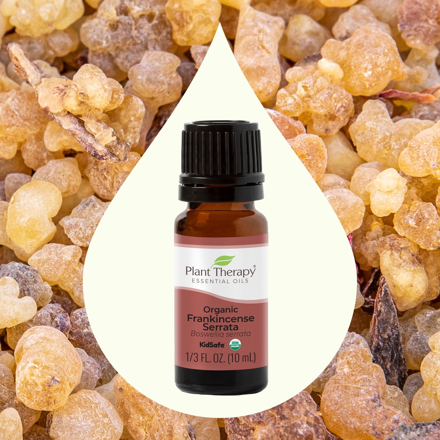 Plant Therapy - Organic Frankincense Serrata Essential Oil