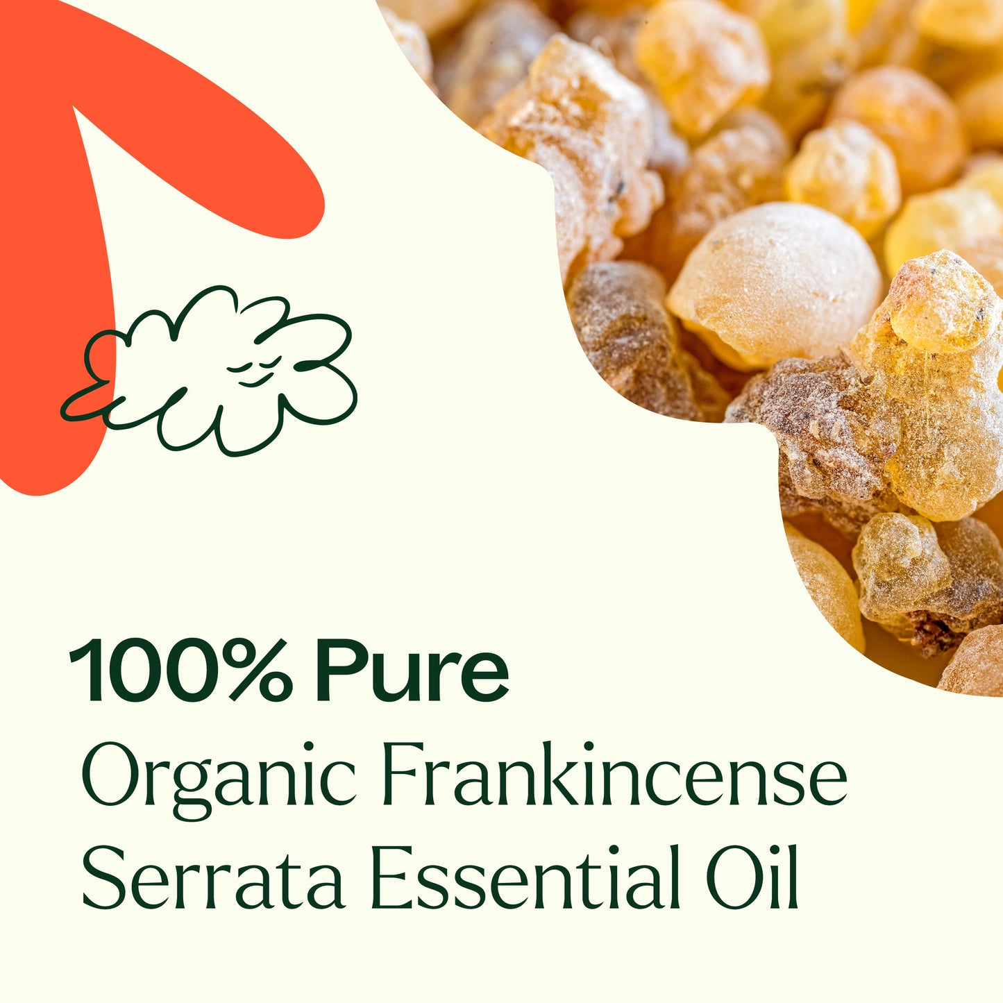 Plant Therapy - Organic Frankincense Serrata Essential Oil