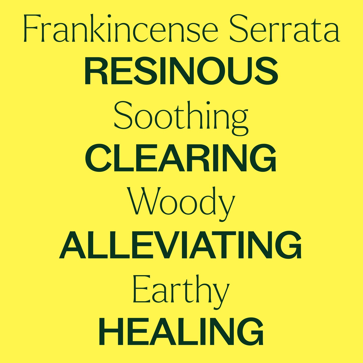 Plant Therapy - Organic Frankincense Serrata Essential Oil