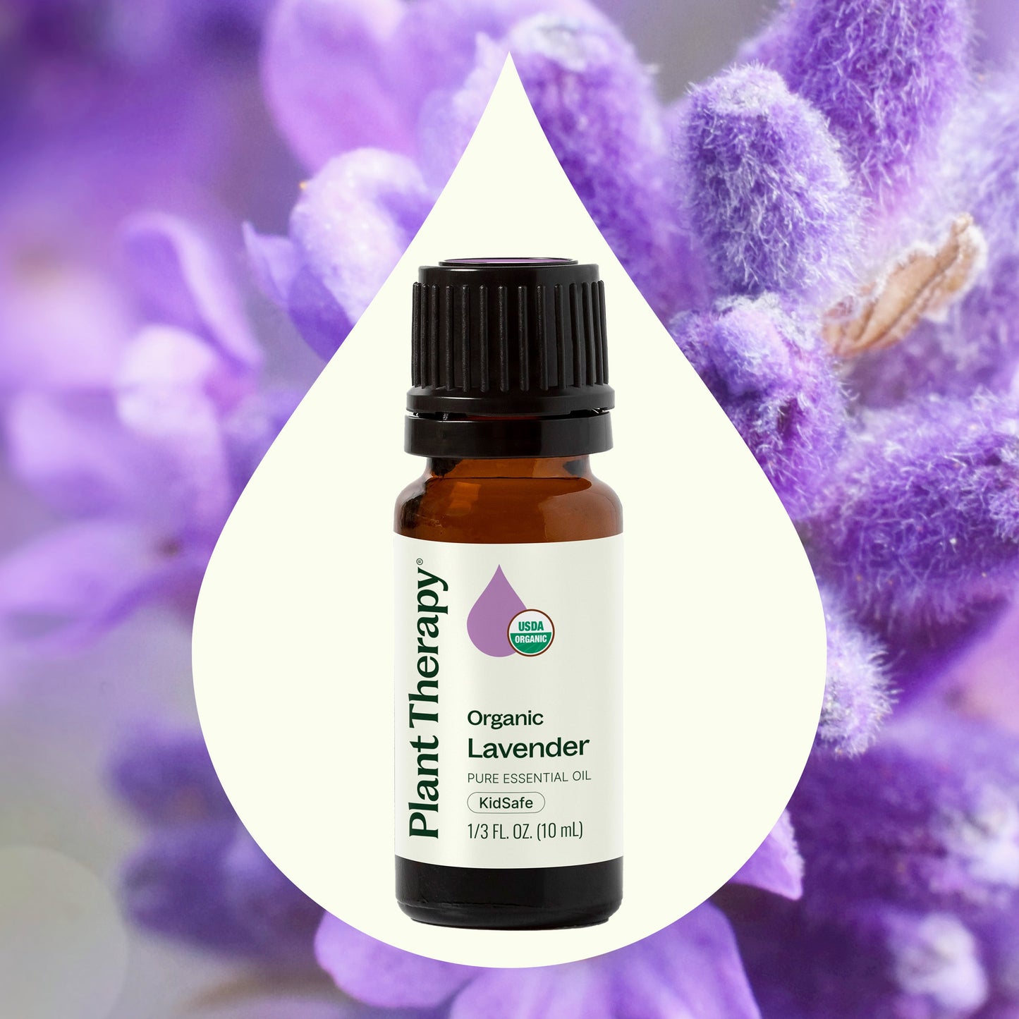 Plant Therapy - Organic Lavender Essential Oil