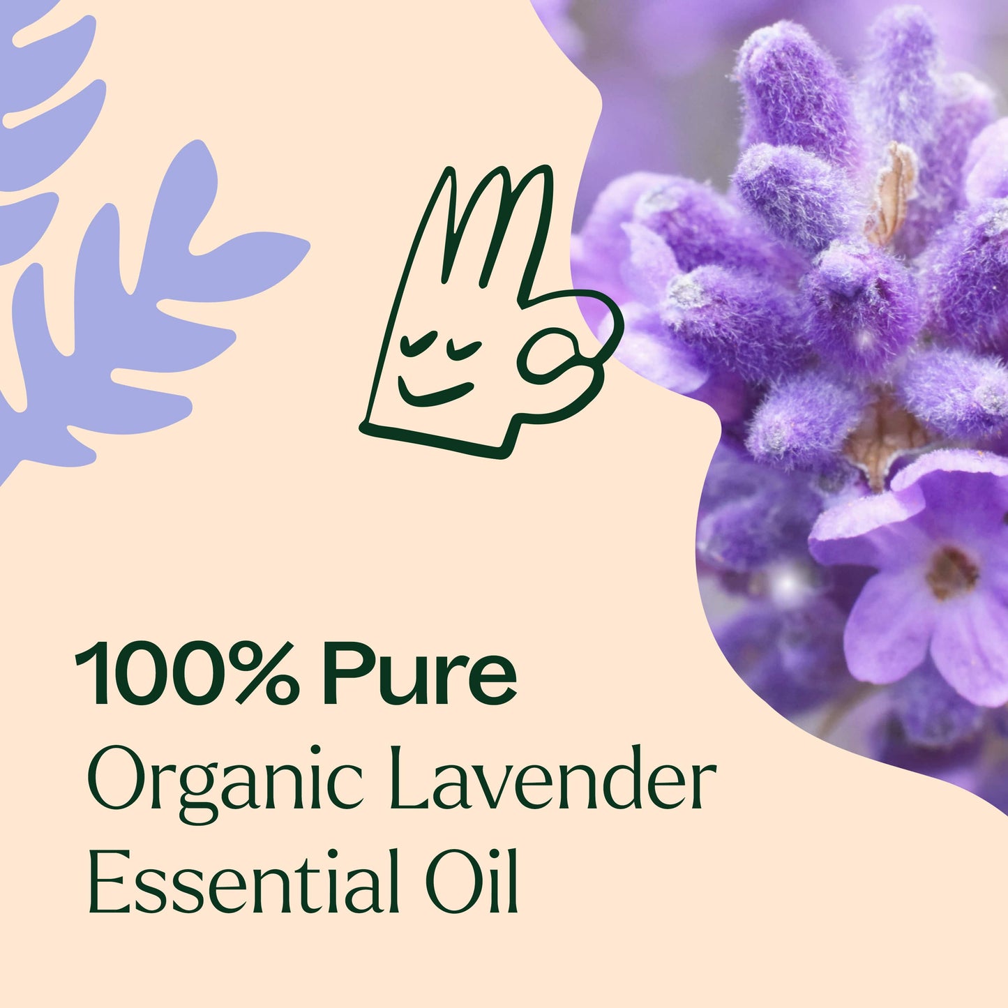 Plant Therapy - Organic Lavender Essential Oil