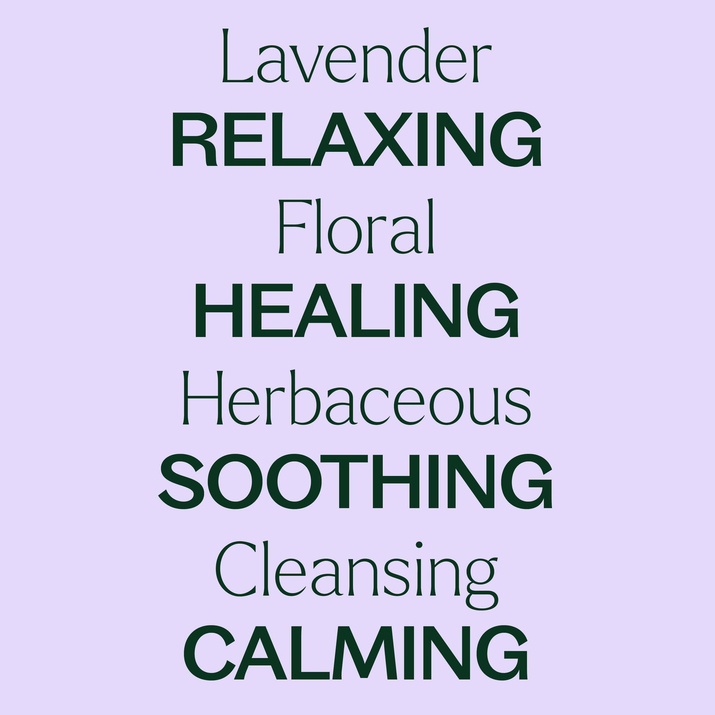 Plant Therapy - Organic Lavender Essential Oil