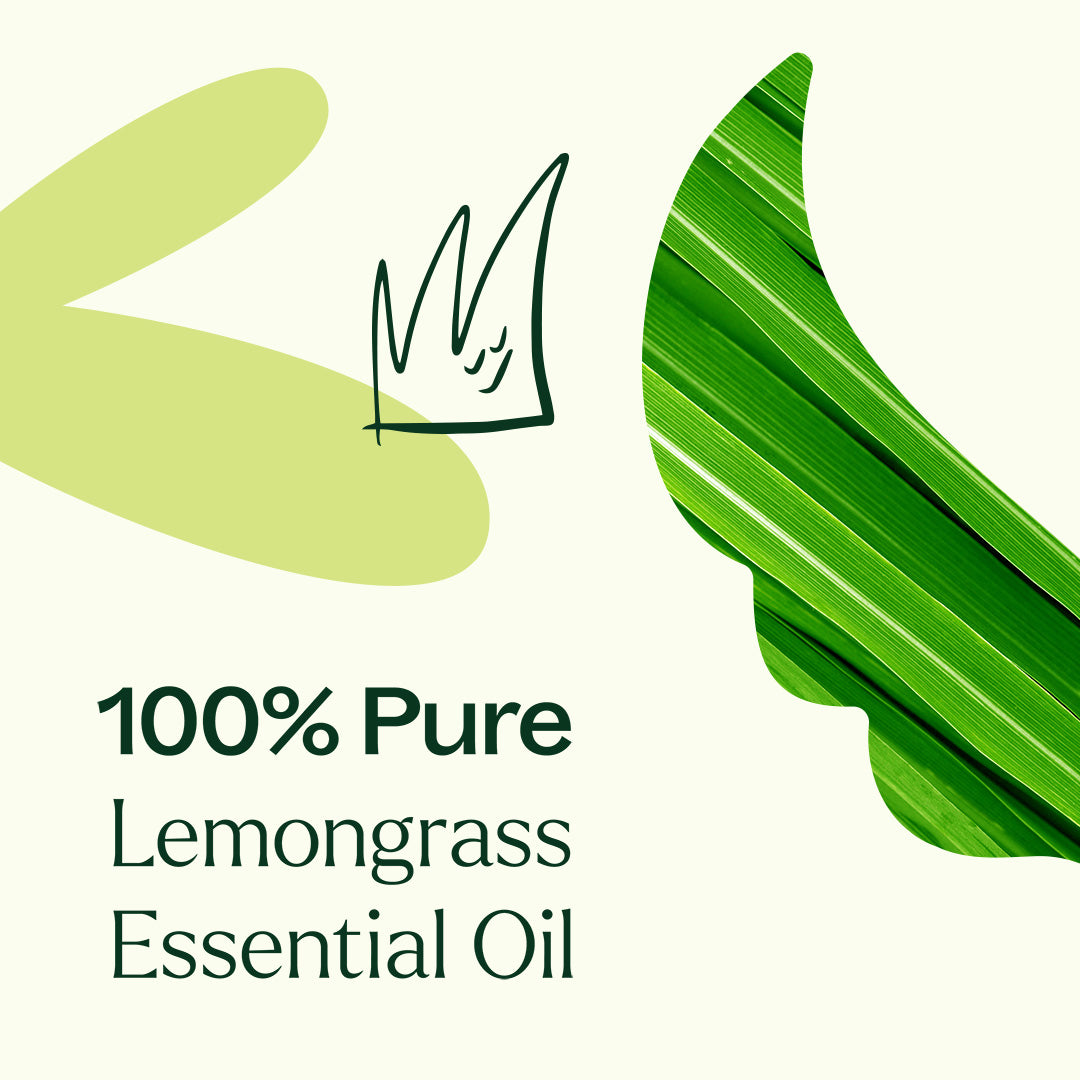 Plant Therapy - Organic Lemongrass Essential Oil