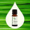 Plant Therapy - Organic Lemongrass Essential Oil