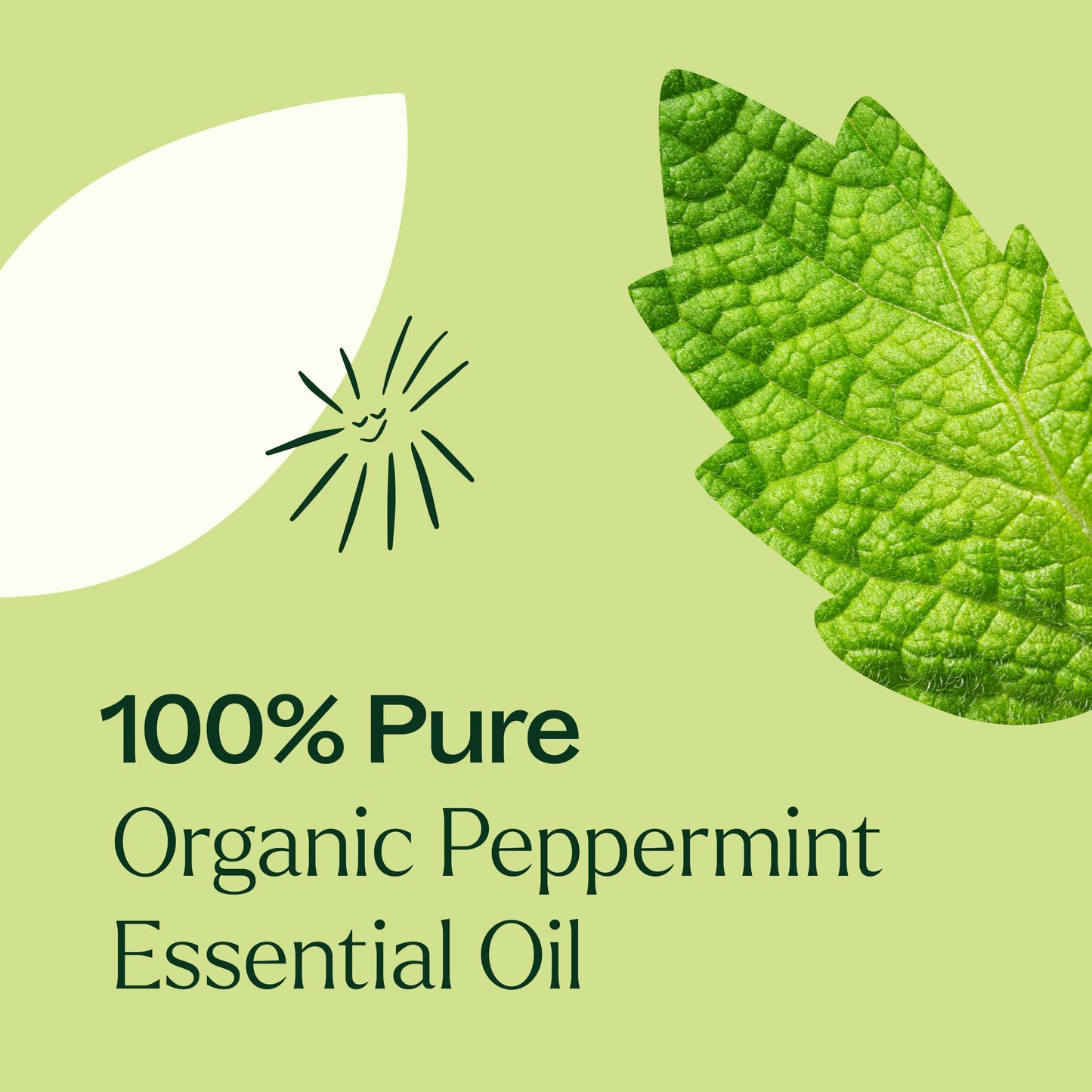 Plant Therapy - Organic Peppermint Essential Oil Pre-Diluted Roll-On