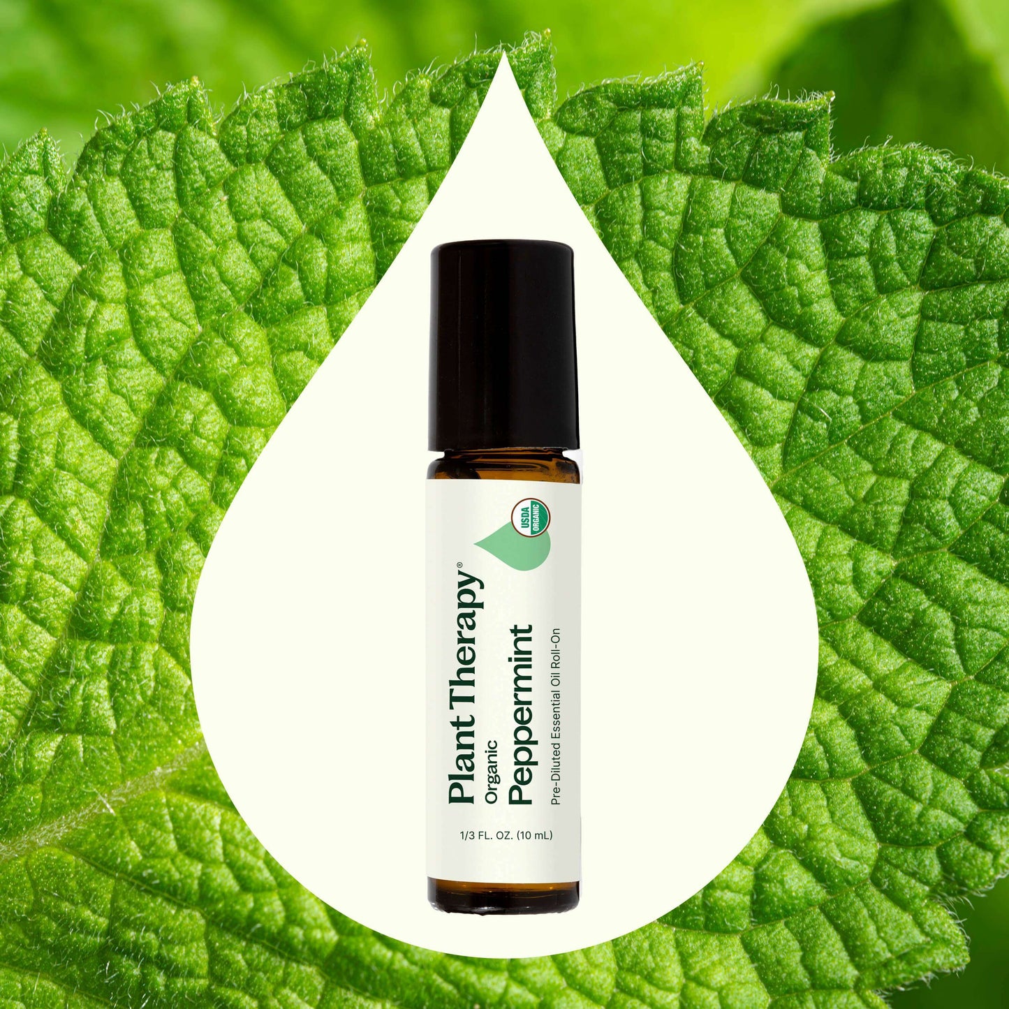 Plant Therapy - Organic Peppermint Essential Oil Pre-Diluted Roll-On