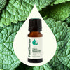 Plant Therapy - Organic Spearmint Essential Oil