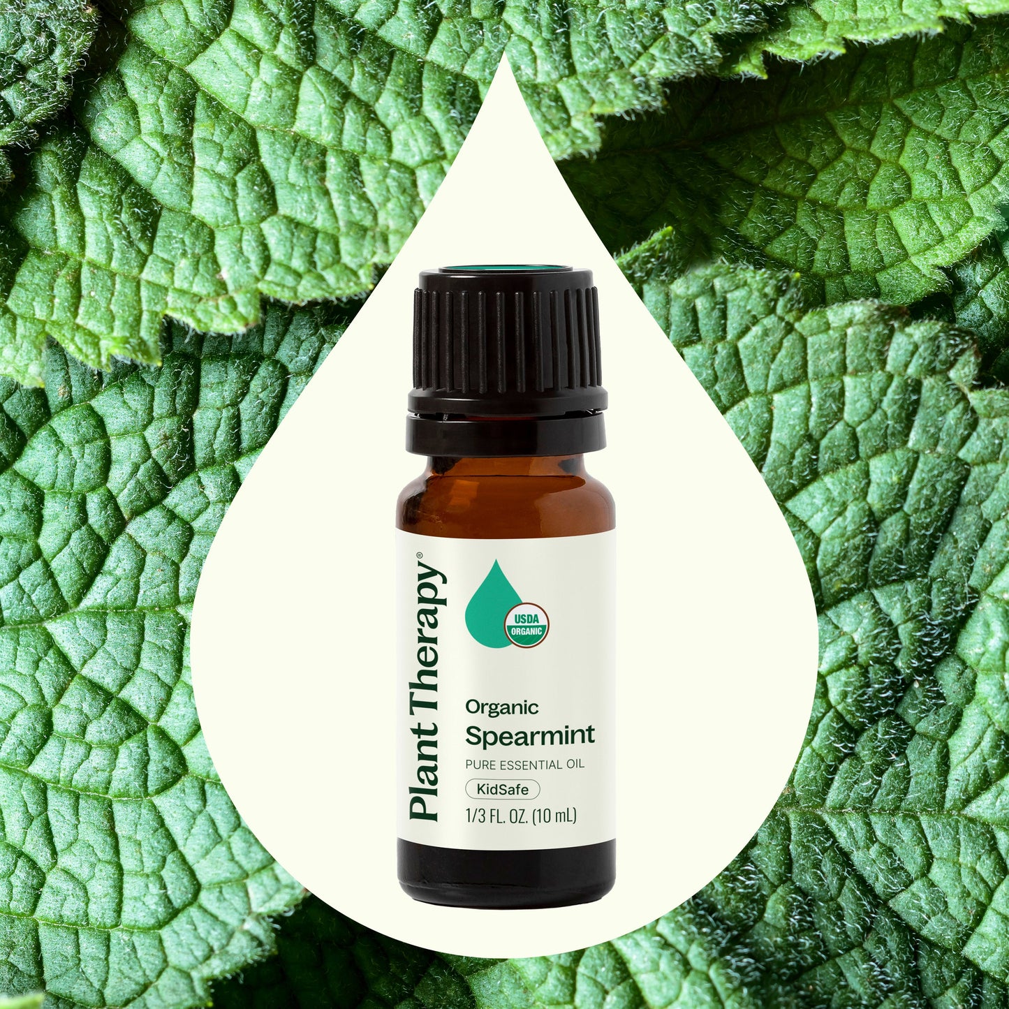 Plant Therapy - Organic Spearmint Essential Oil