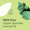 Plant Therapy - Organic Spearmint Essential Oil