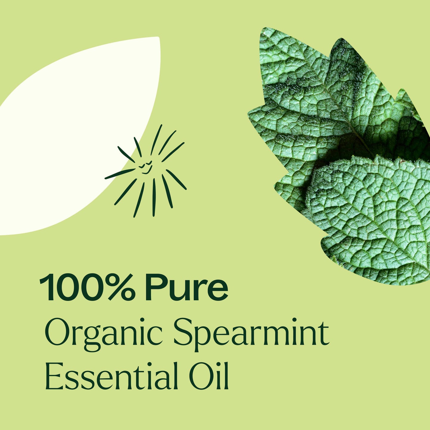 Plant Therapy - Organic Spearmint Essential Oil