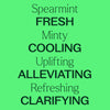 Plant Therapy - Organic Spearmint Essential Oil