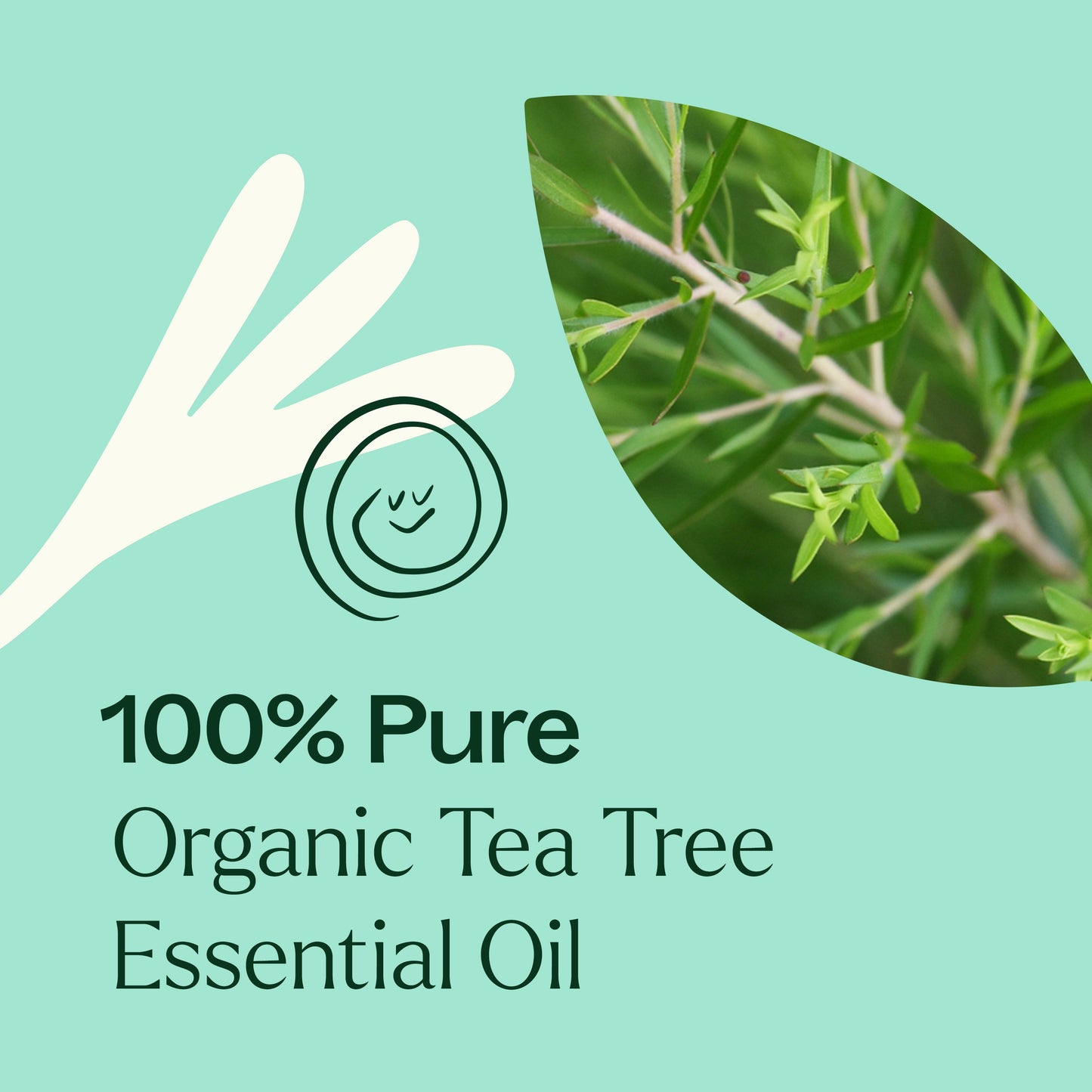 Plant Therapy - Organic Tea Tree Essential Oil
