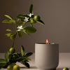 Homecourt - Candle