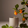 Homecourt - Candle
