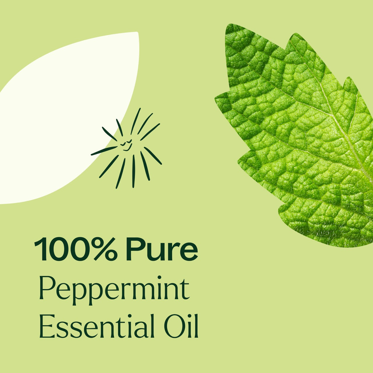 Plant Therapy - Peppermint Essential Oil