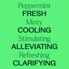 Plant Therapy - Peppermint Essential Oil