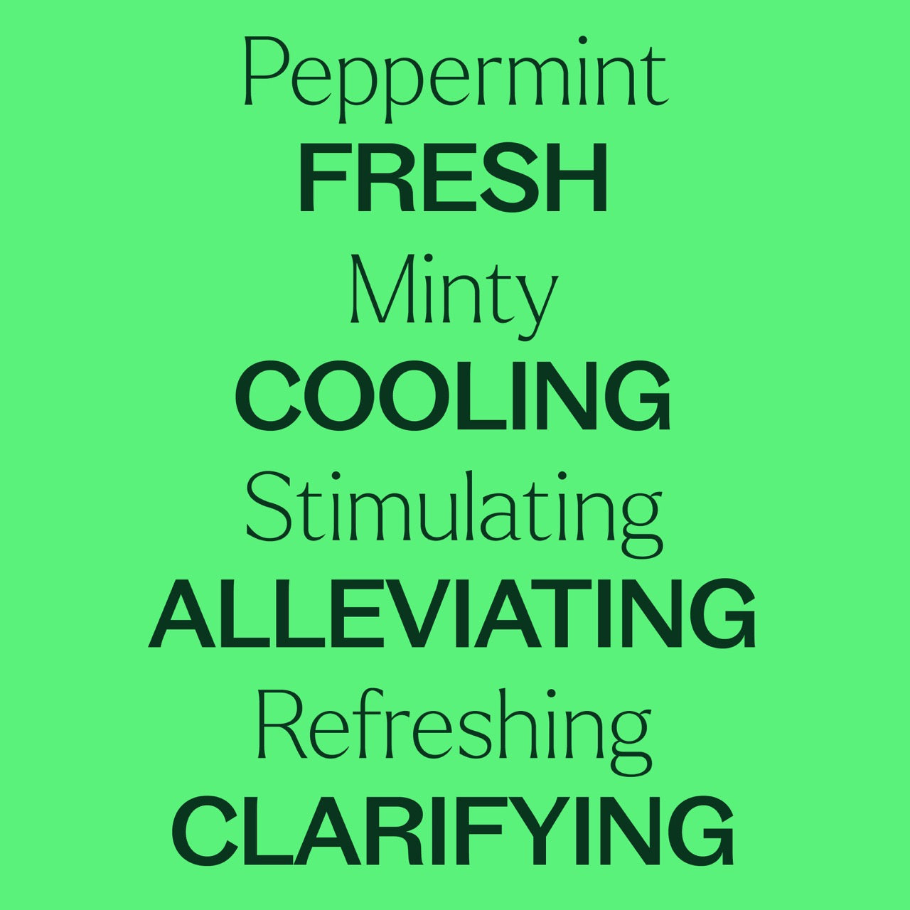 Plant Therapy - Peppermint Essential Oil