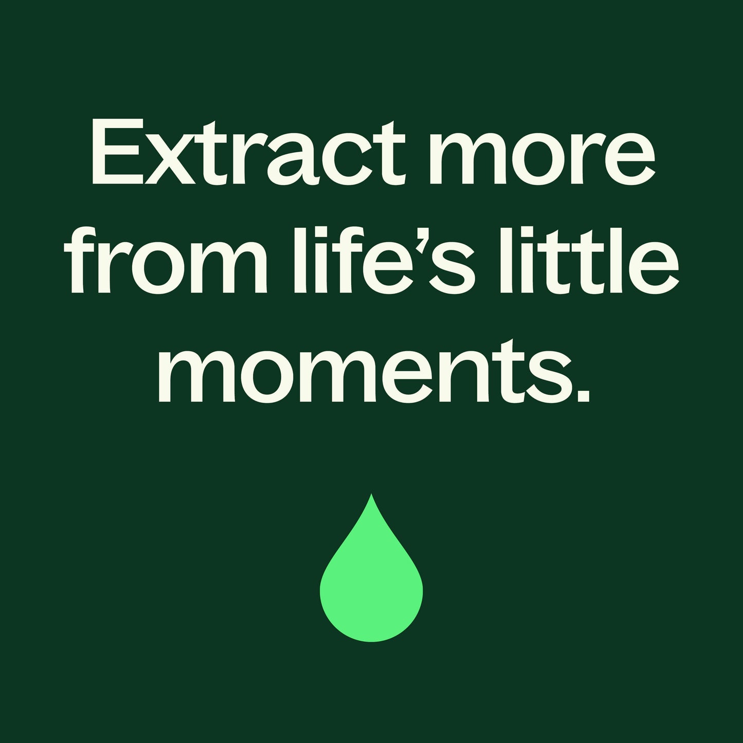 Plant Therapy - Peppermint Essential Oil