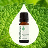 Plant Therapy - Peppermint Essential Oil
