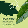 Plant Therapy - Ravintsara Essential Oil
