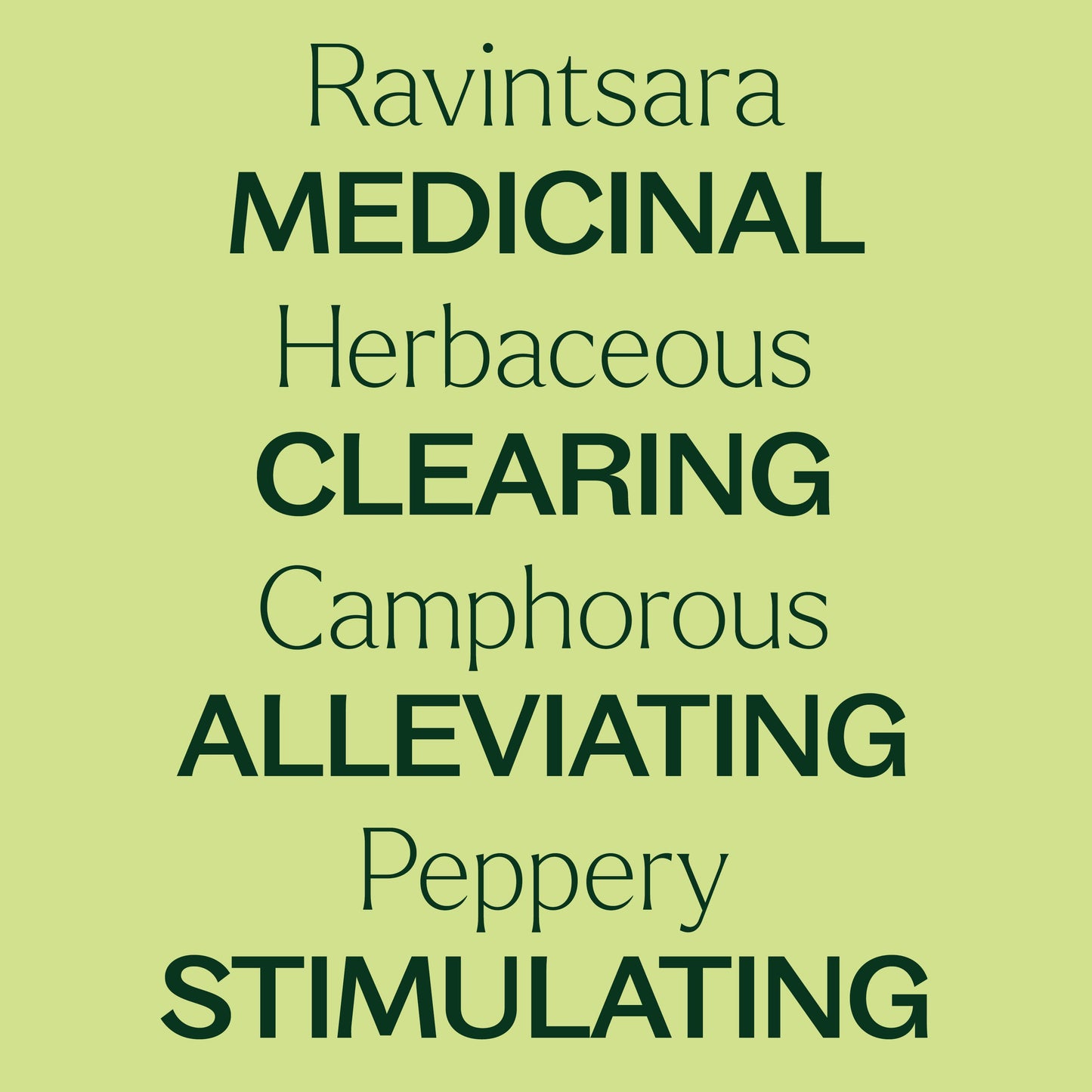 Plant Therapy - Ravintsara Essential Oil