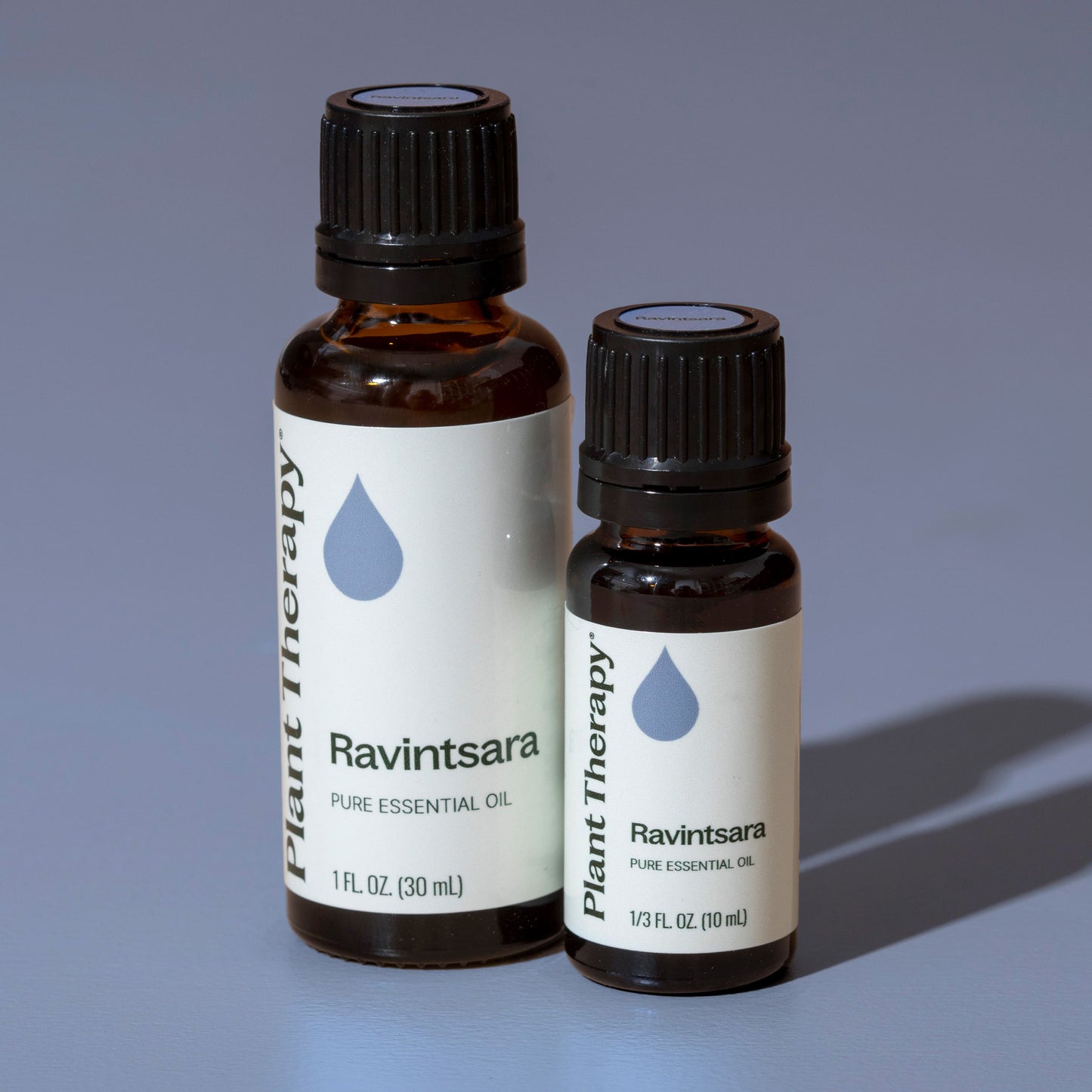 Plant Therapy - Ravintsara Essential Oil