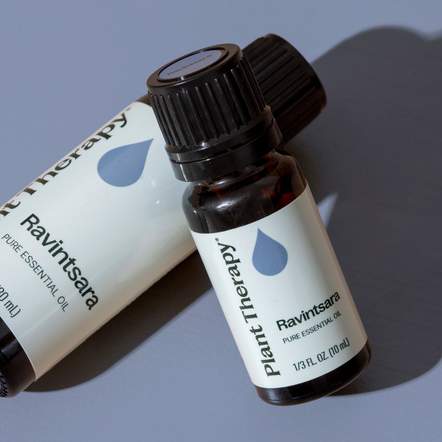 Plant Therapy - Ravintsara Essential Oil