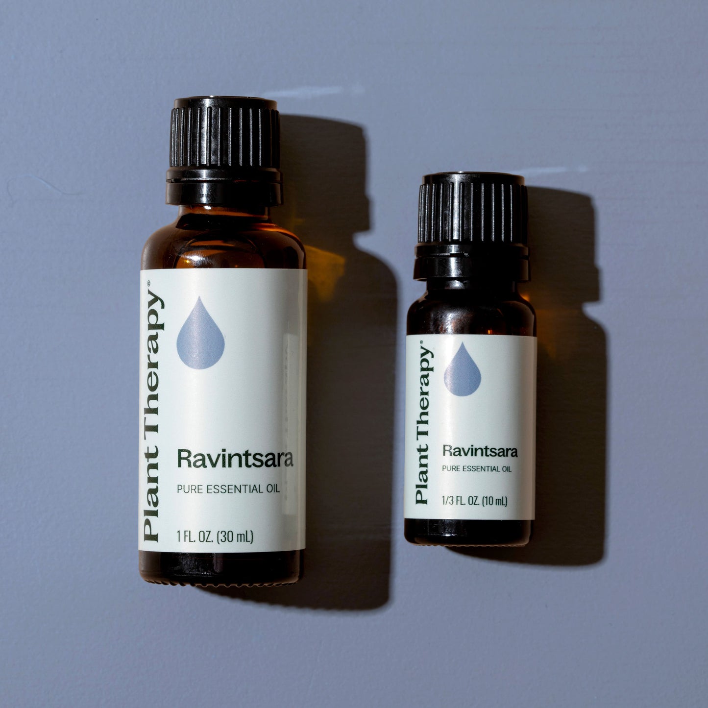 Plant Therapy - Ravintsara Essential Oil