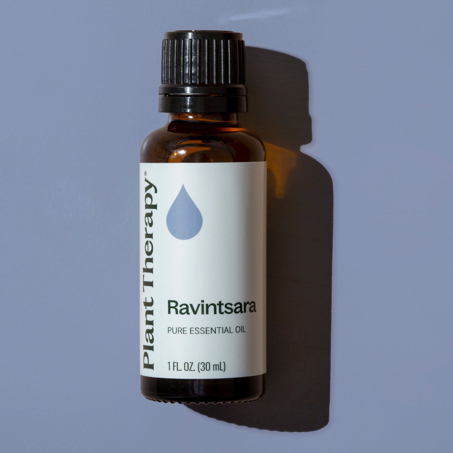 Plant Therapy - Ravintsara Essential Oil