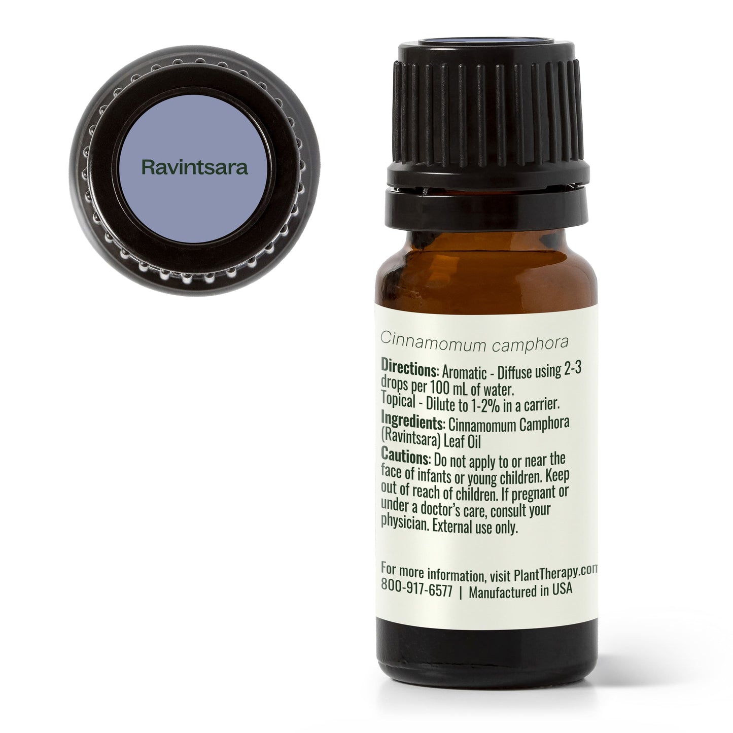 Plant Therapy - Ravintsara Essential Oil