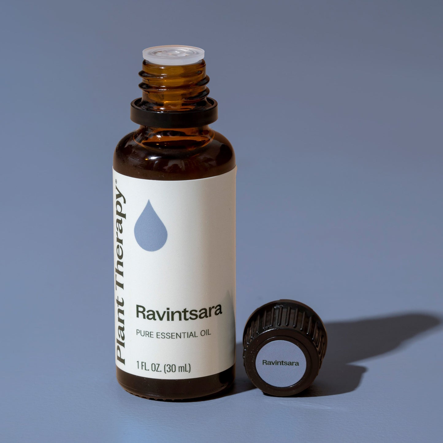 Plant Therapy - Ravintsara Essential Oil