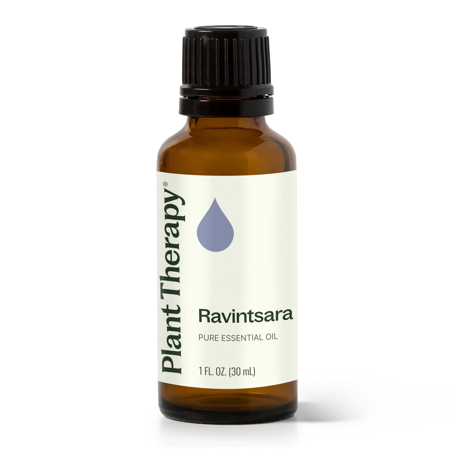 Plant Therapy - Ravintsara Essential Oil