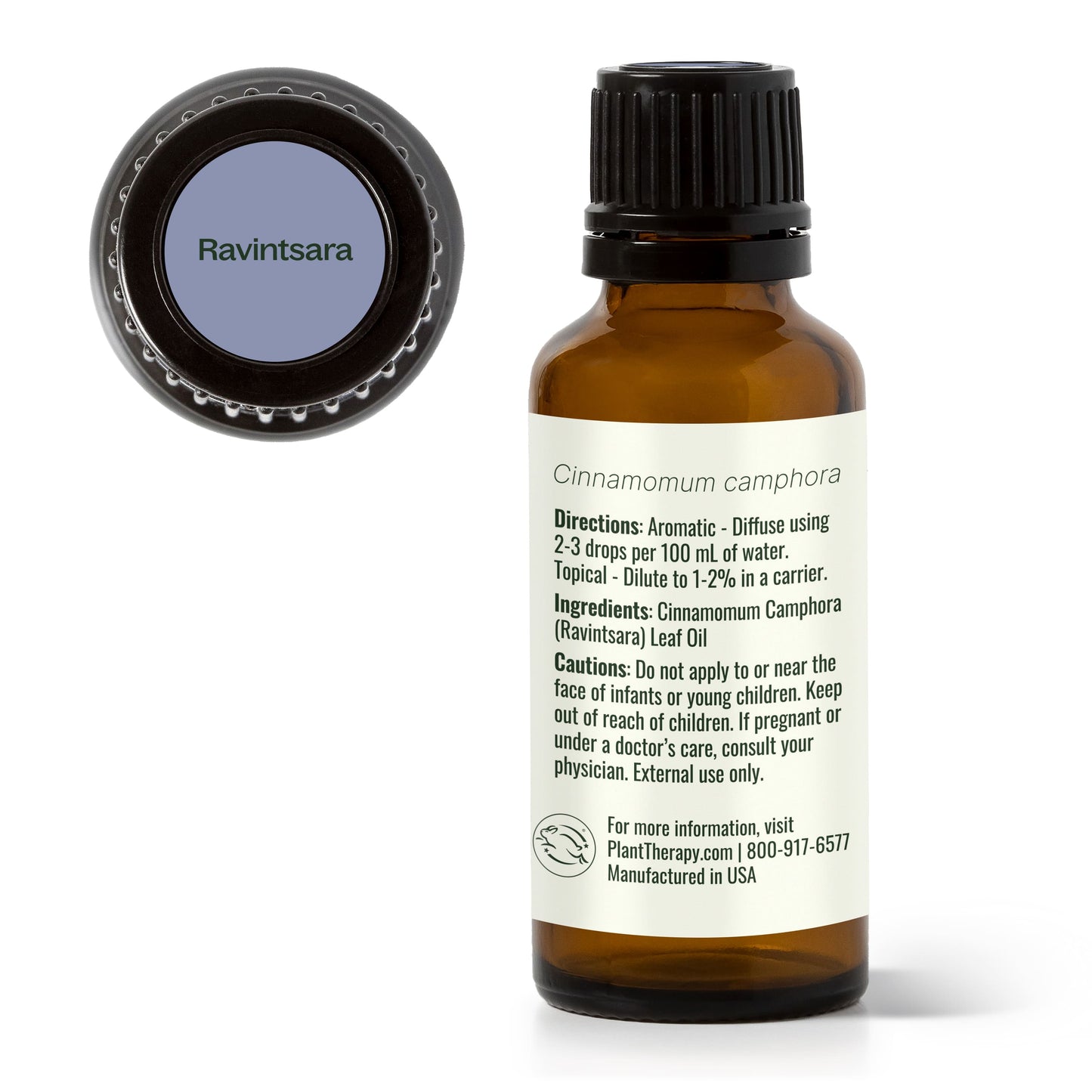 Plant Therapy - Ravintsara Essential Oil