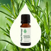 Plant Therapy - Rosemary 1,8-Cineole Essential Oil