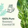 Plant Therapy - Rosemary 1,8-Cineole Essential Oil