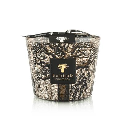 Baobab Collection - Candle Sacred Trees Morondo - Cinnamon-Almond-Texas Cedar Wood - MAX10 - Tarvos Boutique