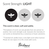 Fontana Candle - Pure Unscented Jar Candle