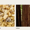 Nest New York - Amber & Incense Reed Diffuser