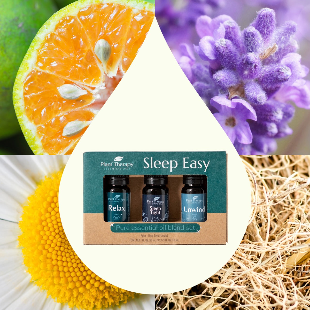 Plant Therapy - Sleep Easy Essential Oil Blend Set