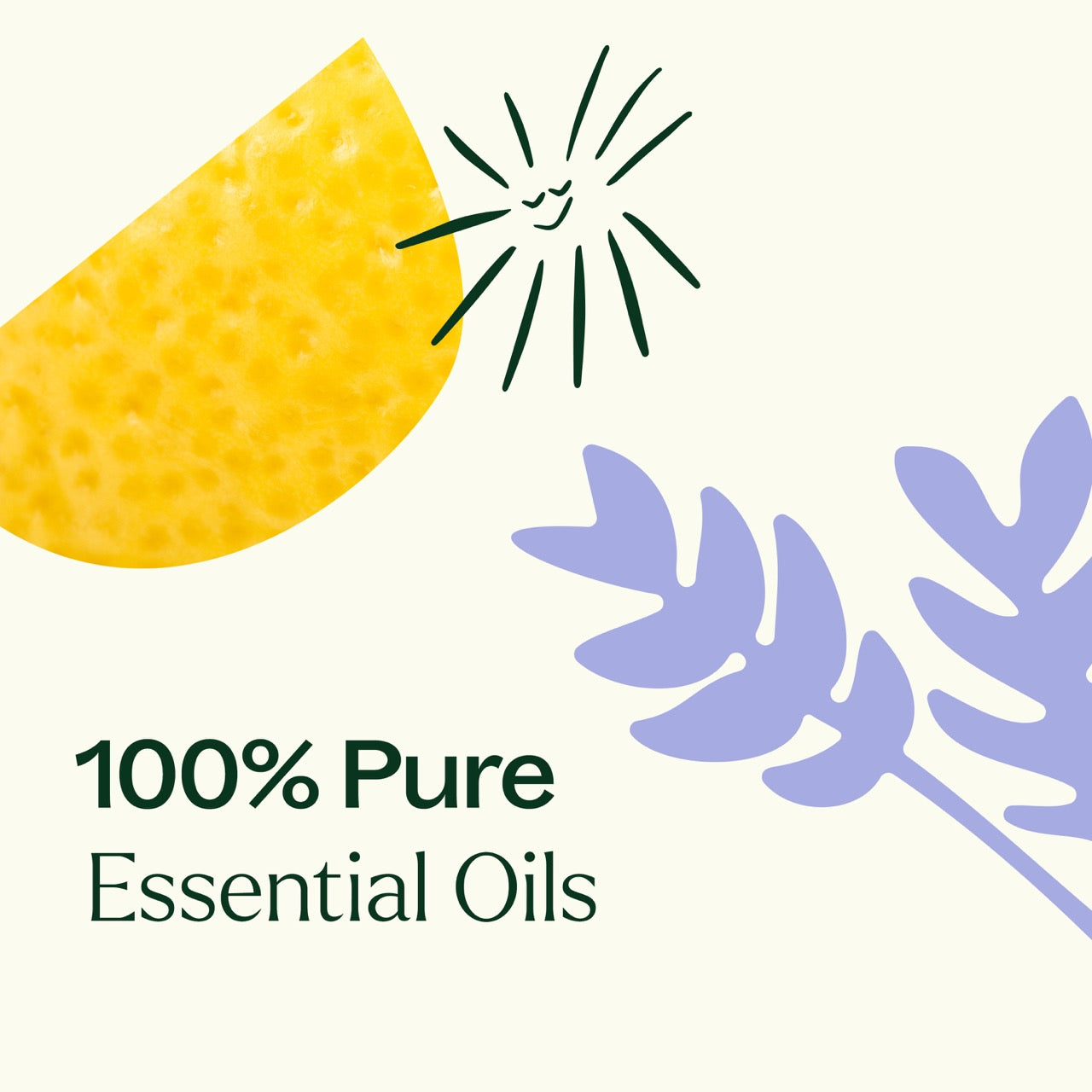 Plant Therapy - Sleep Easy Essential Oil Blend Set