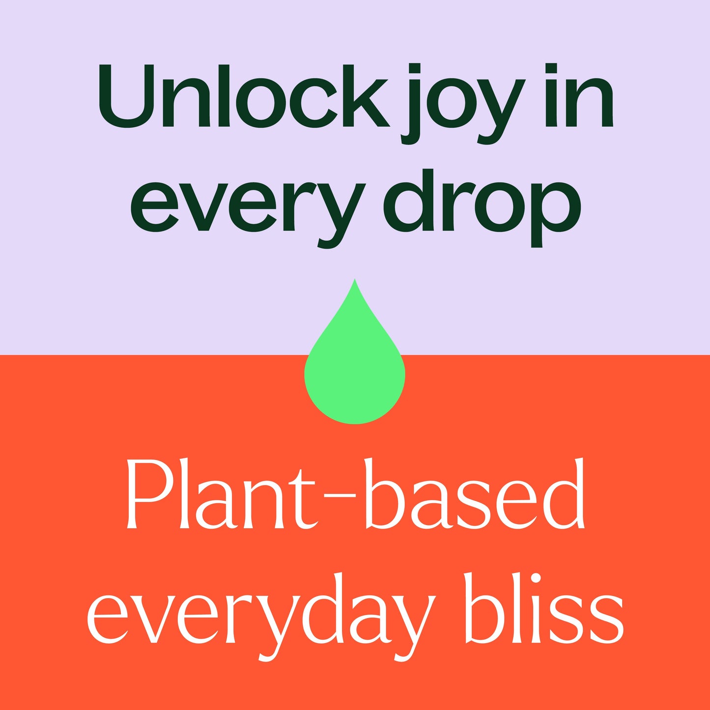 Plant Therapy - Sleep Easy Essential Oil Blend Set