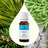 Plant Therapy - Sniffle Stopper KidSafe Essential Oil