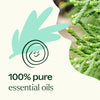 Plant Therapy - Sniffle Stopper KidSafe Essential Oil