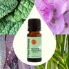 Plant Therapy - Sparkling Peppermint Laundry Essential Oil Blend